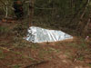 Survival Training